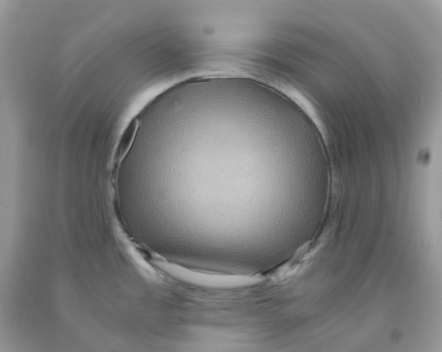 X0000091551485200709141506