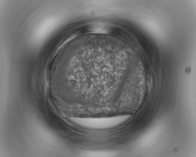 X0000091551487200709141506