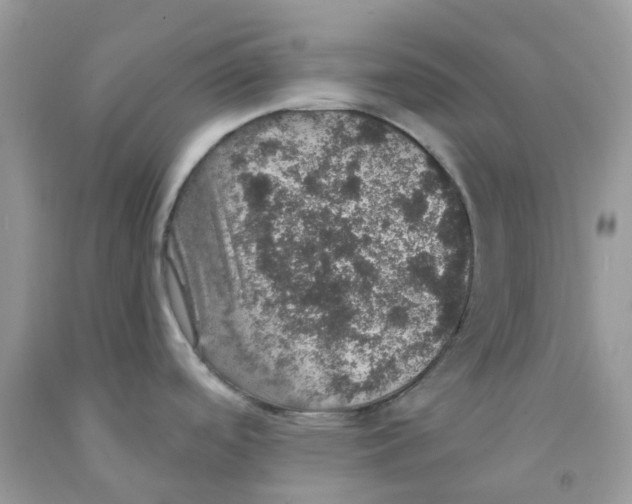 X0000091551488200709141506