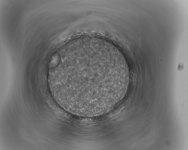 X0000091551489200709141505