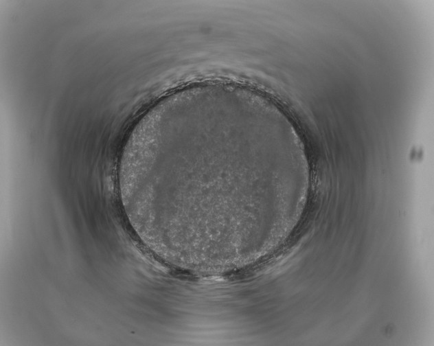 X0000091551490200709141505