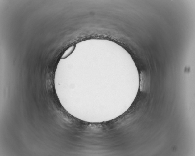 X0000091551491200709141505