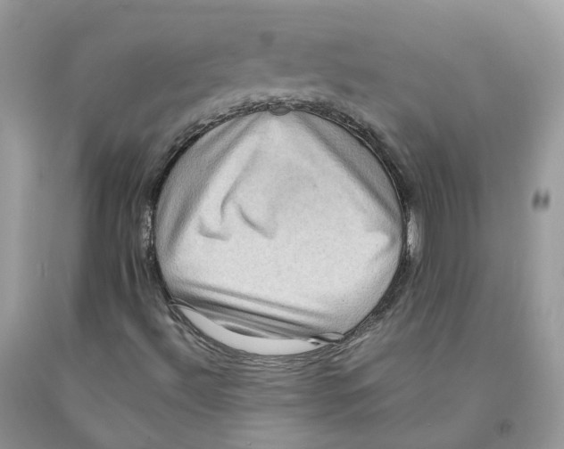 X0000091551492200709141505