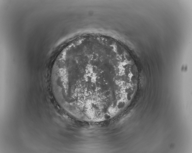 X0000091551494200709141505