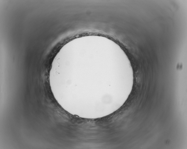 X0000091551495200709141505