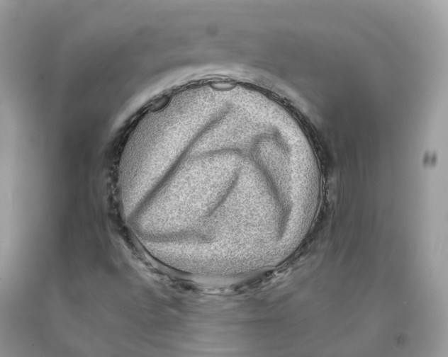 X0000091551496200709141505