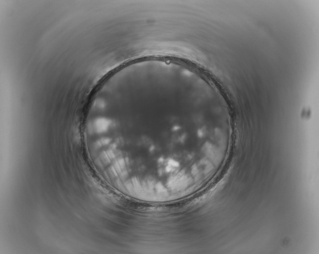 X0000091551497200709141505