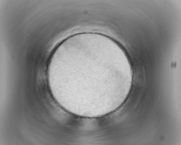 X0000091551498200709141505