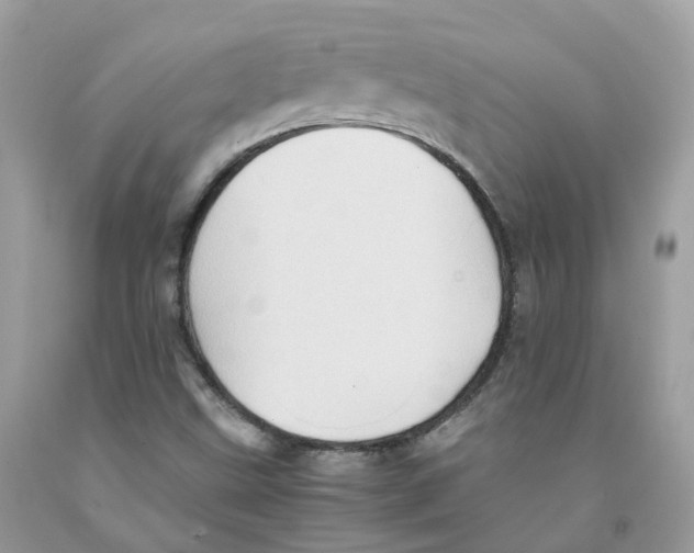 X0000091551499200709141505