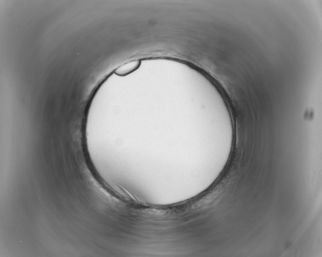 X0000091551500200709141505