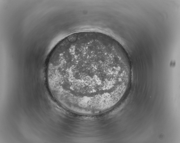 X0000091551501200709141505