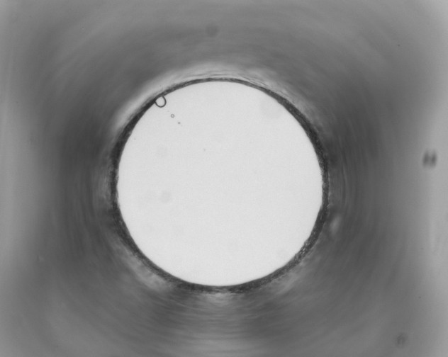 X0000091551502200709141505