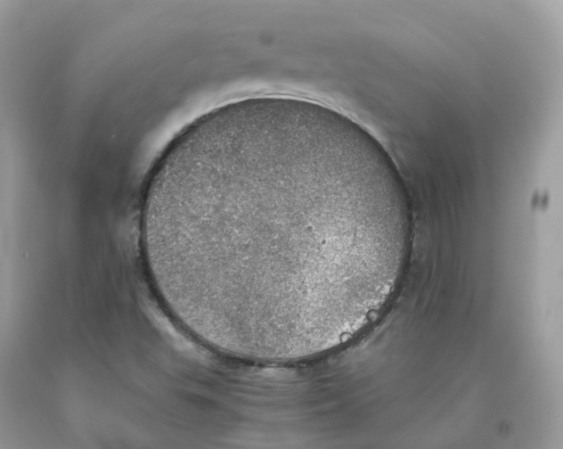 X0000091551503200709141505