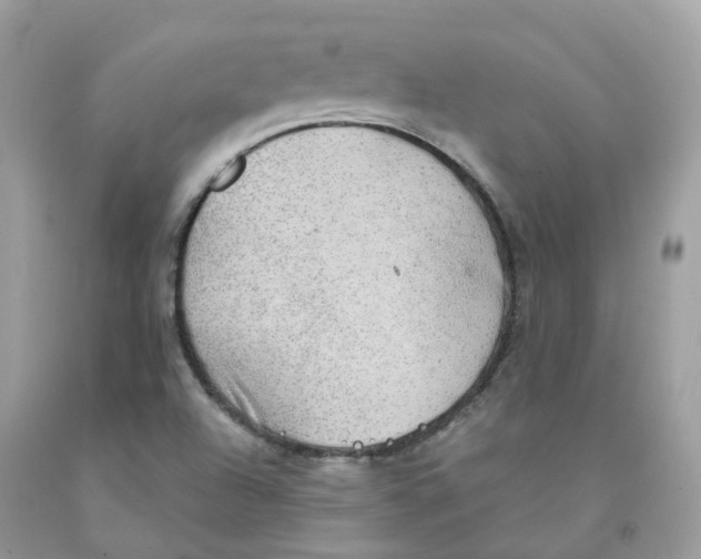 X0000091551504200709141505