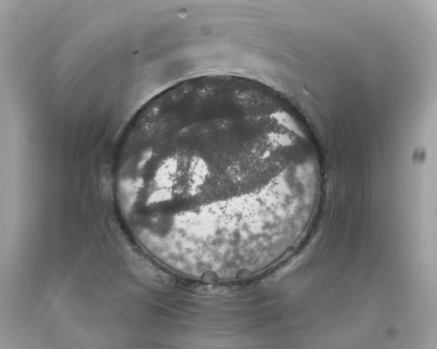 X0000091551505200709141505