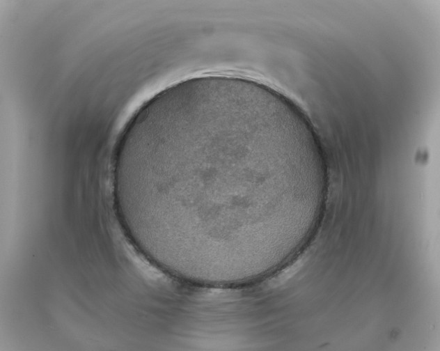 X0000091551506200709141505