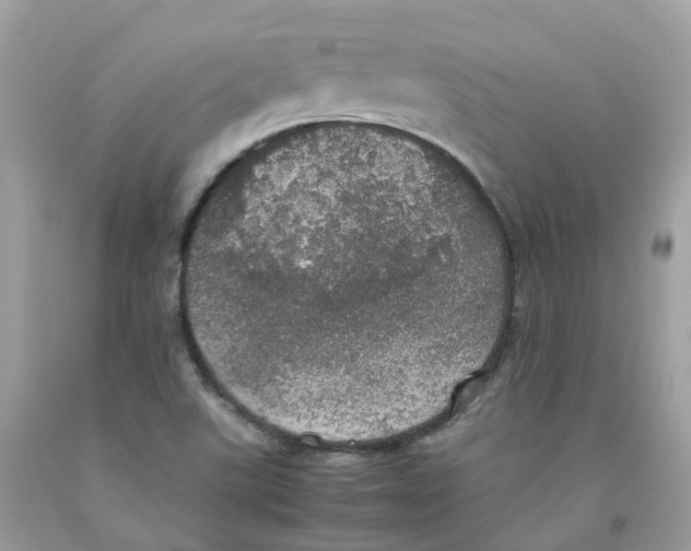 X0000091551507200709141505