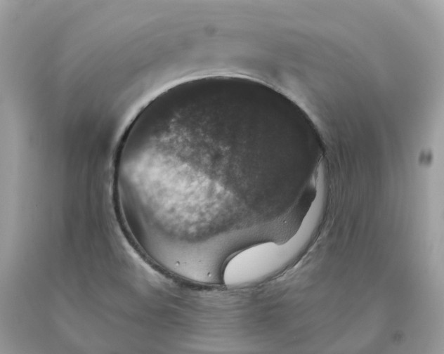 X0000091551508200709141505