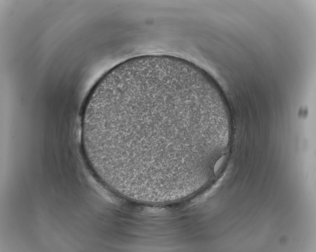 X0000091551509200709141505