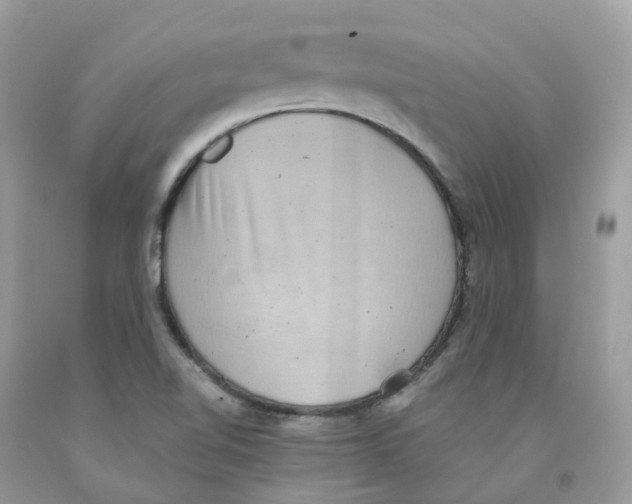 X0000091551510200709141505