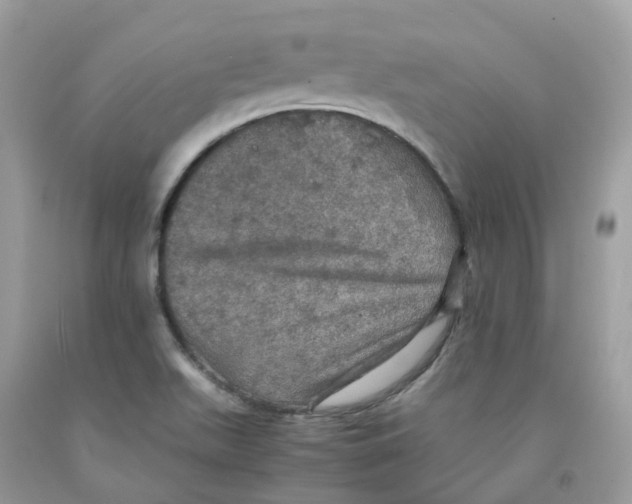 X0000091551511200709141505