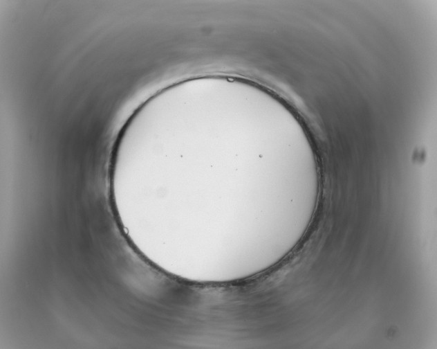 X0000091551512200709141505