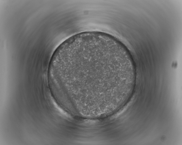 X0000091551513200709141505