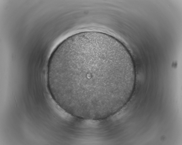 X0000091551514200709141505