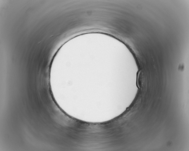 X0000091551516200709141505