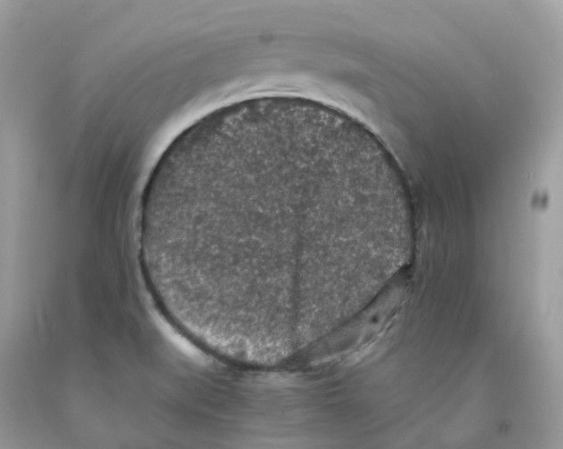 X0000091551519200709141506