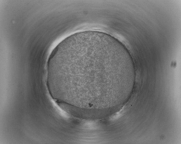 X0000091551520200709141506