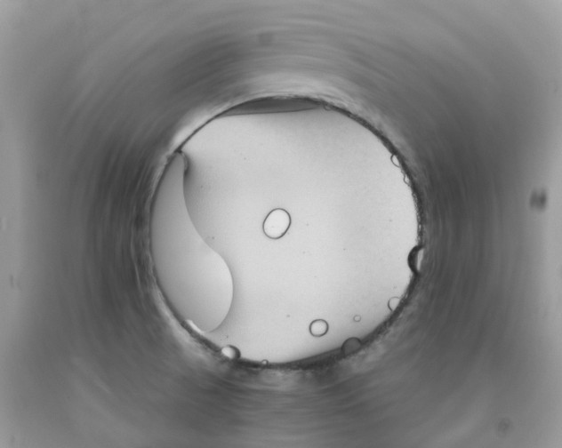 X0000091551521200709141506