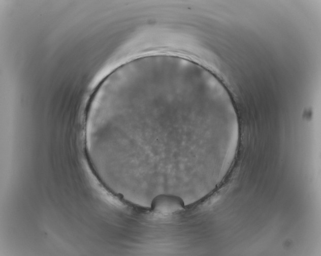 X0000091551522200709141506