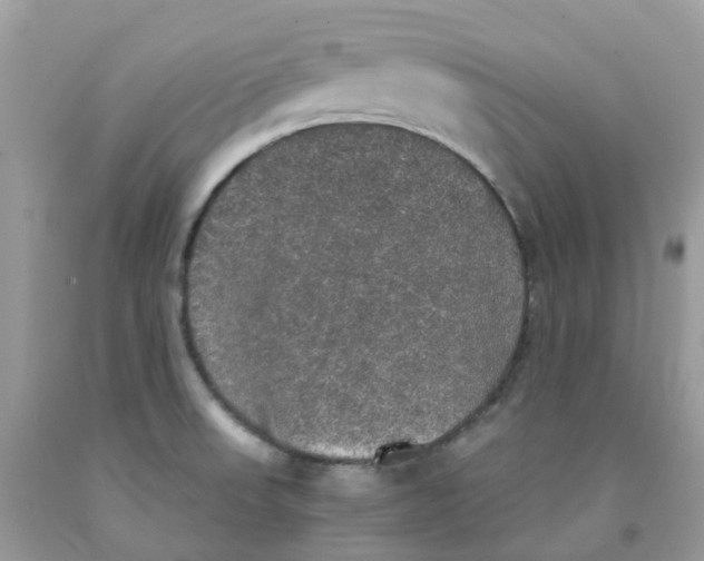 X0000091551523200709141506