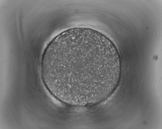 X0000091551525200709141506