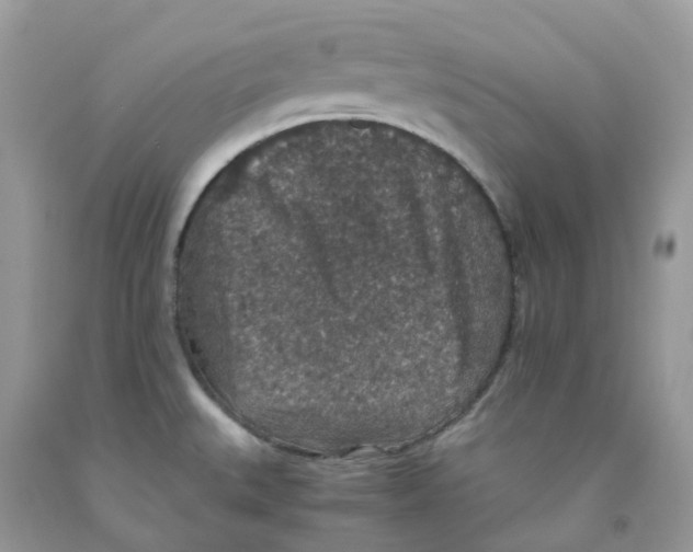 X0000091551527200709141506