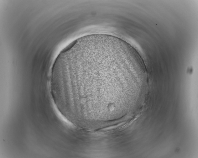 X0000091551528200709141506