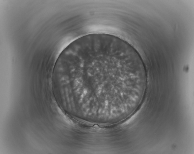 X0000091551529200709141506