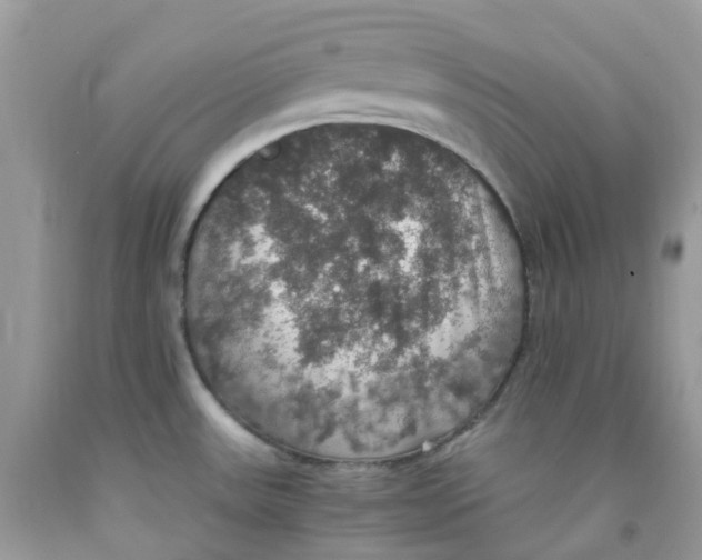 X0000091551531200709141506