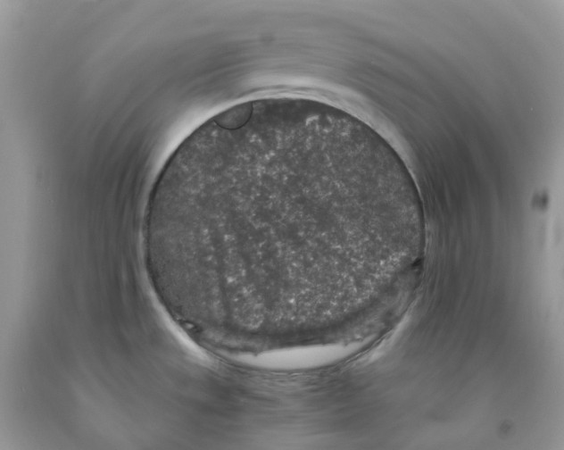 X0000091551533200709141506