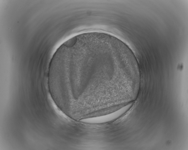 X0000091551534200709141506