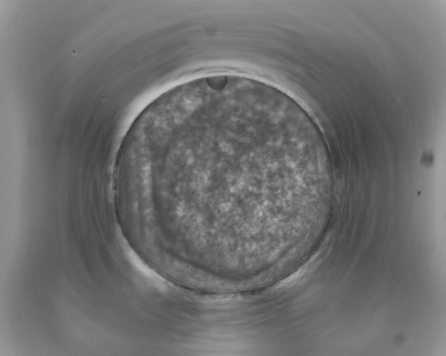 X0000091551535200709141506