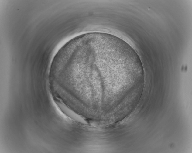 X0000091551536200709141506