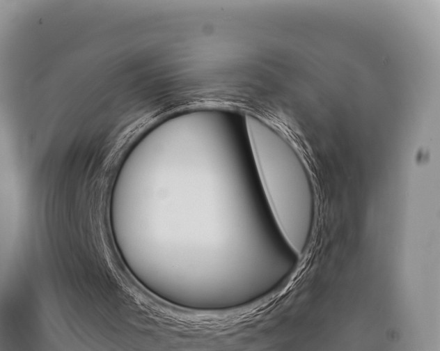 X0000091560001200708171111