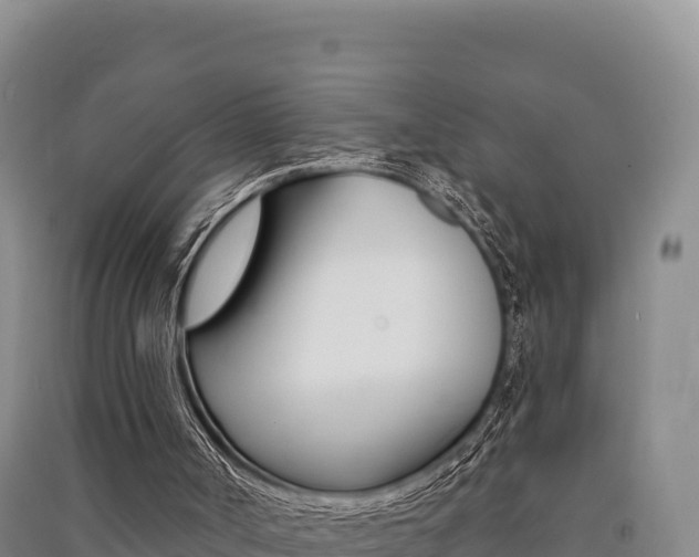 X0000091560002200708171111