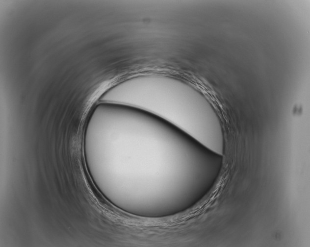 X0000091560003200708171111