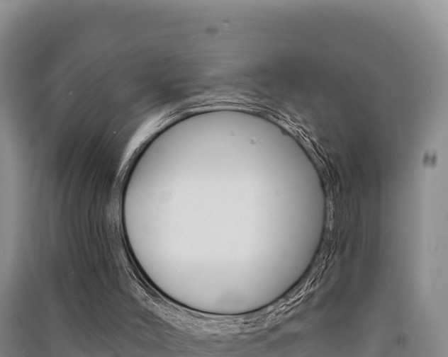 X0000091560004200708171111