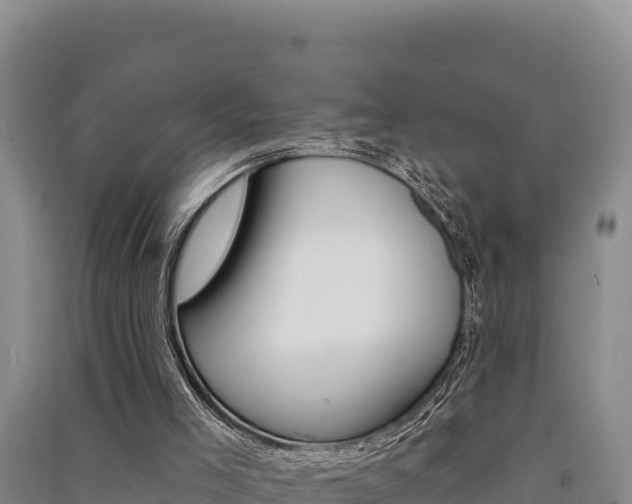 X0000091560005200708171110