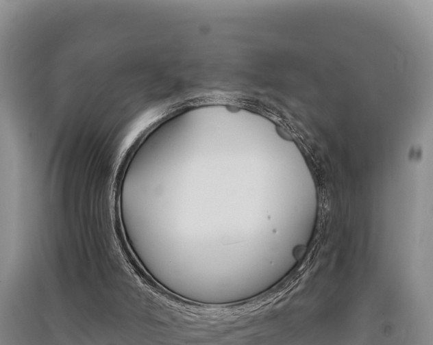 X0000091560006200708171110