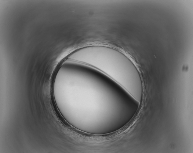 X0000091560008200708171110